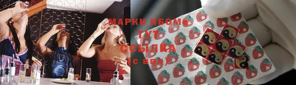 молекула духа Арсеньев