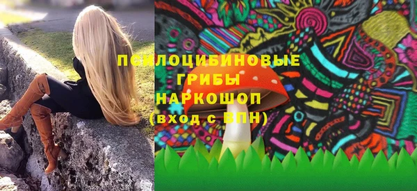 молекула духа Арсеньев