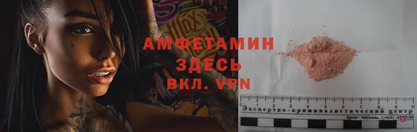 молекула духа Арсеньев