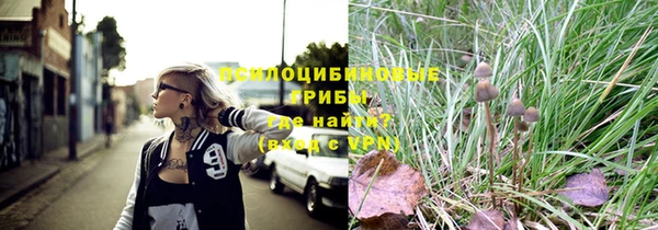 трава Переславль-Залесский