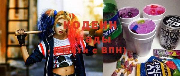 молекула духа Арсеньев